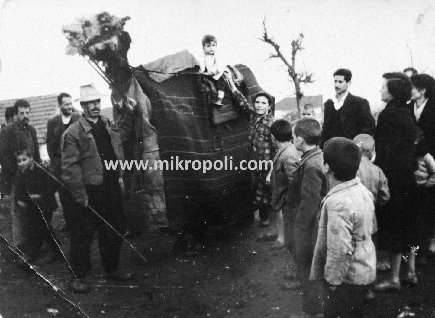 Μπάμπιντεν -11