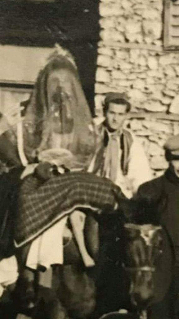 Μπάμπιντεν -13